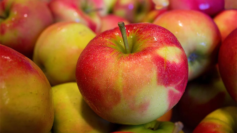 ผลไม้ ผัก ฟอกฟันขาว แอปเปิ้ล