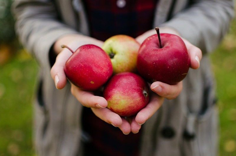 ผลไม้ ลดน้ำหนัก สีของแอปเปิ้ล แอปเปิ้ล